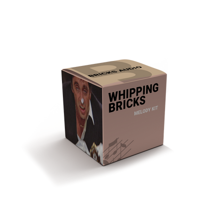 Whipping Bricks - Trap Melody Kit