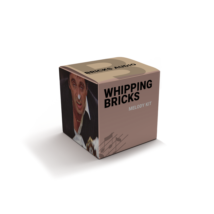 Whipping Bricks - Trap Melody Kit